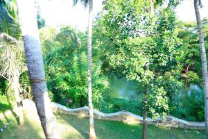 un grupo de palmeras y un cuerpo de agua en River Edge Yala en Tissamaharama