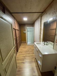 ein Bad mit einem Waschbecken und einem Spiegel in der Unterkunft saint florentin in Saint-Florentin
