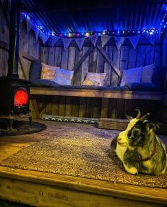 a dog laying on a rug in a room with a couch at North Yorkshire Horse Box in York