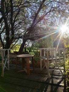 una mesa de picnic y un banco bajo un árbol en LAS JARILLAS Hostería & Bodega en San Javier