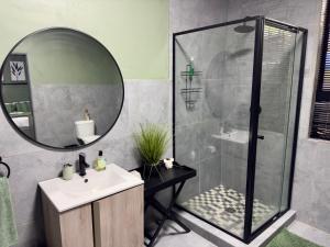 a bathroom with a shower and a sink and a mirror at Wild Fig Rest Guest House in Polokwane