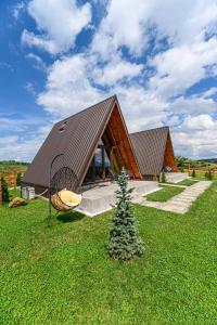 a house with a large roof on a green field at Green Hill Panoramic in Poiana Mărului