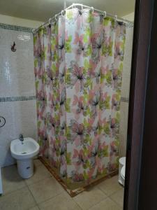a bathroom with a shower curtain with a toilet at Histórica Casa de la Oje in Agulo