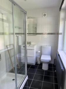 a bathroom with a toilet and a sink and a shower at Brixham View House in Torquay