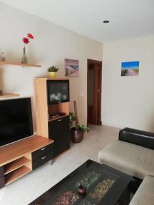 a living room with a couch and a tv at Puerto Barrio Alto in El Puerto de Santa María