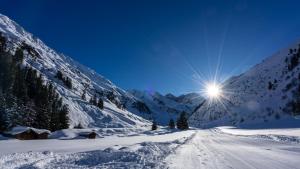 Apart Berghof Steinbock during the winter