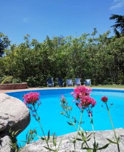 a blue swimming pool with chairs and pink flowers at Terrazas del Venado in La Cumbre