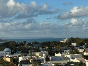 a city with buildings and the ocean in the background at Misk Villa - Boutique Hotel & Spa in Sidi Bou Saïd