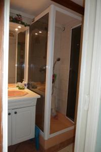 La salle de bains est pourvue d'une douche et d'un lavabo. dans l'établissement Gîte Les Iris, à Crécy-la-Chapelle