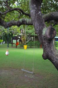a tree with two swings in a park at Chalé Verde in Tamandaré