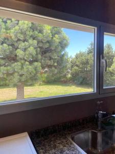 ein Küchenfenster mit einer Spüle und einem Baum in der Unterkunft Hygge Loft Patagonia in Dina Huapi + 4 Fotos