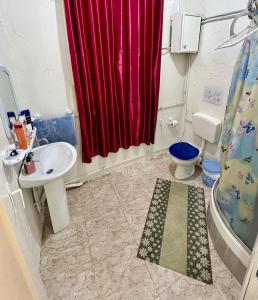bagno con tenda doccia rossa e servizi igienici di Un studio au centre ville de Tunis a Tunisi