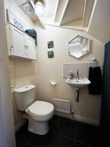 uma pequena casa de banho com WC e lavatório em Snug House - Dromore Village - Lagan River View em Dromore