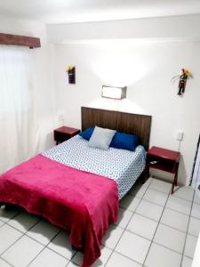 Postel nebo postele na pokoji v ubytování Confortable Suite con terrza
