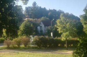 a house on the side of a hill with trees at Suhl - Ihre erholsame Wohnung in Zentrumnähe in Suhl