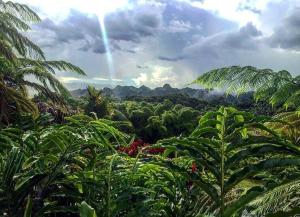a rainbow in the sky over a forest of plants at Monte Sagrado Reserve-100 acres Wellness River cabin in Quebrada