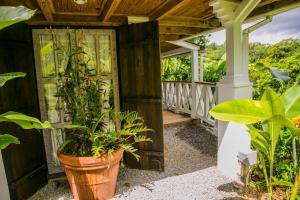a wooden pergola with plants on a porch at Monte Sagrado Reserve-100 acres Wellness River cabin in Quebrada