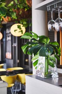 roślina w wazie siedząca na ladzie w obiekcie Hotel on the Promenade w Kapsztadzie