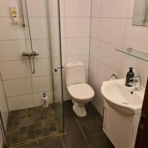 een badkamer met een douche, een toilet en een wastafel bij Lake View Apartment, Oldedalen in Stryn