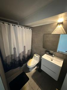 a bathroom with a white toilet and a sink at Calafquen Viña del mar in Viña del Mar