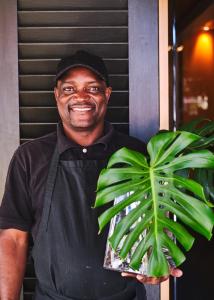 a man holding a green potted plant at Hotel on the Promenade in Cape Town