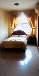 La Joya de los Sachas的住宿－Hotel Mirador Sacha，卧室在窗户前配有一张床
