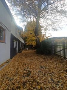 una pila de hojas en el suelo junto a una casa en Markowy Dom en Jugowice
