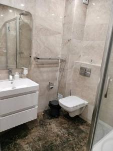 een badkamer met een toilet, een wastafel en een douche bij Nina Studio Sibiu in Cisnădie