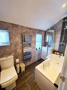 a bathroom with a toilet and a tub and a sink at Love Lane Villa in Lincoln