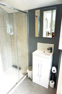 a bathroom with a shower and a sink and a toilet at Love Lane Villa in Lincoln +39 photos