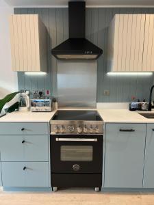 uma cozinha com uma placa de fogão e forno. em Stylish Brentford Riverside Penthouse em Brentford