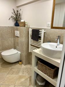 ein Bad mit einem Waschbecken und einem WC in der Unterkunft Studio with private car park and air con in Valbonne
