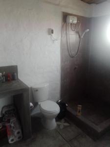 a bathroom with a toilet and a shower at Casa de campo con piscina en chincha in Ronceros Bajo