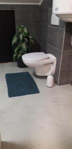 La salle de bains est pourvue de toilettes et d'un tapis bleu. dans l'établissement SweetPlace Forever in Charleroi (Appart 4), à Charleroi