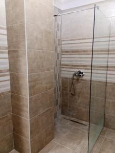 W łazience znajduje się prysznic ze szklanymi drzwiami. w obiekcie Apartman Tomas w mieście Subotica