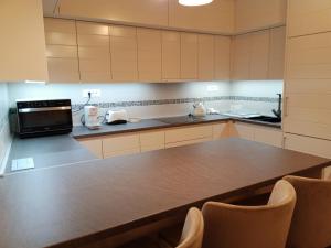 a large kitchen with a counter and a microwave at Apartman Tomas in Subotica