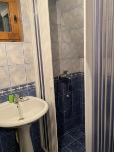 bagno con lavandino e doccia di Holiday Home Mrljes a Rast