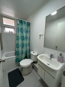 W łazience znajduje się toaleta, umywalka i lustro. w obiekcie Departamento nuevo con perfecta ubicación w mieście Osorno