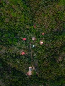 une vue aérienne sur une forêt plantée d'arbres et de bâtiments dans l'établissement Yoo'Nashi - Estancia Ecológica y Experiencias Comunitarias, à Santa María Huatulco