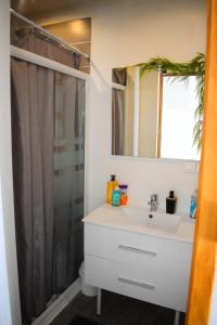 y baño con lavabo y ducha. en Logement cozy proche du centre-ville, en Poitiers