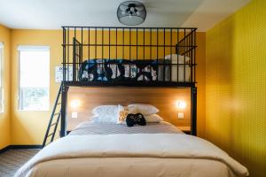 a bedroom with a large bed with a black headboard at The Grove Motel in Colchester