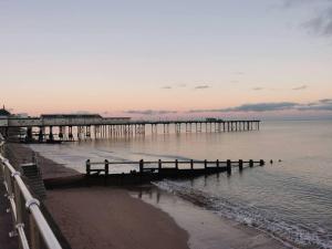 a pier on the beach with birds in the water at The View in Teignmouth