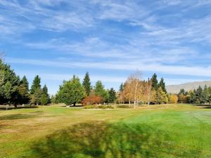 un campo verde con alberi sullo sfondo di Mackenzie Motels a Fairlie