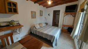 um quarto com uma cama e uma televisão em Monoambiente Golondrina em Capilla del Monte