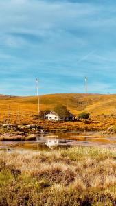 a house in the middle of a field with windmills at Lago da Garça Guesthouse in São Pedro do Sul