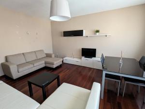 TV a/nebo společenská místnost v ubytování Apartamentos Turísticos Guillermo