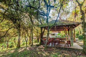 Fotografie z fotogalerie ubytování LA CASA DE LOS SUEÑOS v destinaci Mindo + 24 fotografií