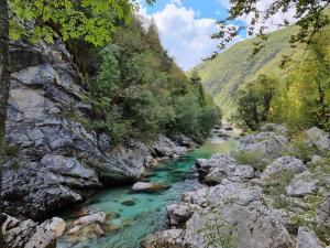 um rio num desfiladeiro com pedras e árvores em Comfy mountain nest em Mojstrana