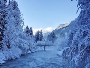 uma ponte sobre um rio com árvores cobertas de neve em Comfy mountain nest em Mojstrana