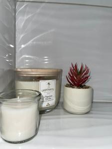 a shelf with two candles and a potted plant at appartement entier sur Reims - 4 Voyageurs in Reims